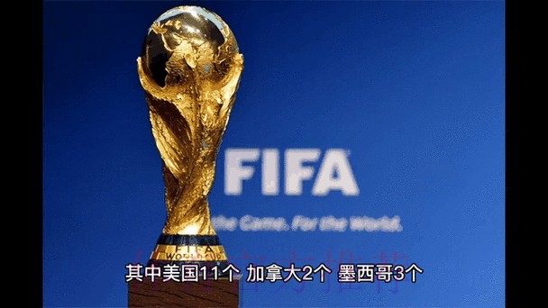 2026世界杯最新比分动态分析 2026世界杯最新比分动态分析